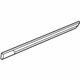GM 23264122 Body Side Molding, Silver, Outer Driver Side