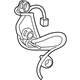 GM 95231305 Socket & Wire