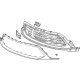 GM 42828785 Grille Assembly, Front
