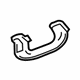 GM 23218756 Grip Handle, Rear Passenger Side GM 23218756 Grip Handle, Rear Passenger Side