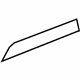 GM 23247624 Trim Molding GM 23247624 Trim Molding