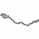 GM 20908436 Wire Harness, Front GM 20908436 Wire Harness, Front