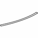 GM 25794551 Molding